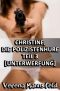 Christine, die Polizistenhure – Teil 3 [Besamung]